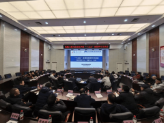 统筹推进师资步队扶植、办理办事优化、学院文